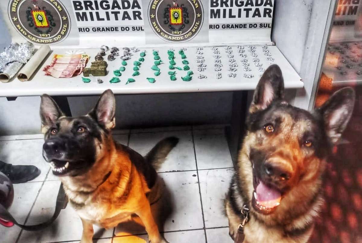 BM apreende mais de 400 pedras de crack em Balneário Pinhal