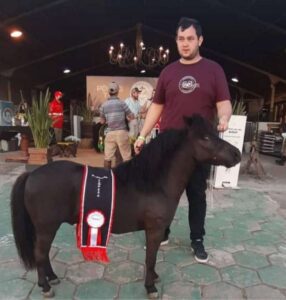 Expointer 2021: É de Osório o Reservado Grande Campeão Macho Adulto