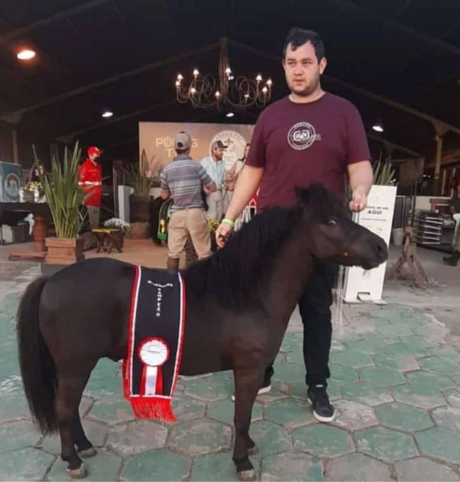 Expointer 2021: É de Osório o Reservado Grande Campeão Macho Adulto