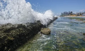 Ondas gigantes matam 6 no litoral da Austrália