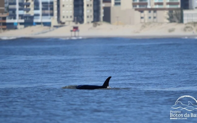 Gestão da orla de Tramandaí