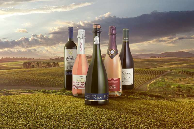 Vinhos do RS premiados mundialmente: R$ 39,90
