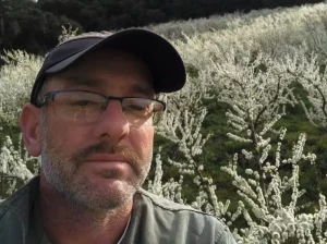 Homem morre após ser atacado por abelhas no RS