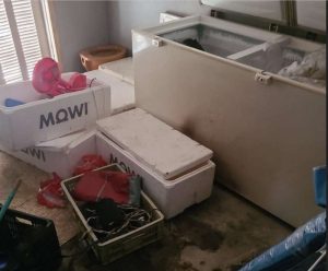 Ocultação do corpo e tentativa de fraudar investigação