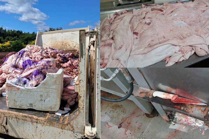 Produtos impróprios para consumo no RS: 2,1 t de alimentos
