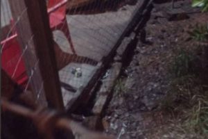 Tiros em bar de Santo Antônio da Patrulha deixam morto e feridos