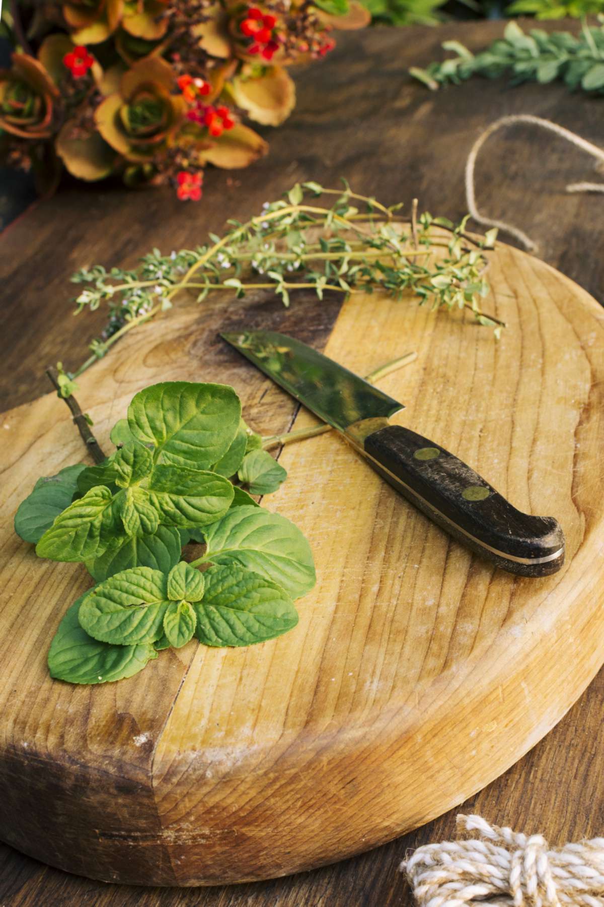 Aprenda receitas para reduzir o sal dos alimentos e combater a hipertensão