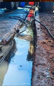 Crime ambiental no Litoral Sul