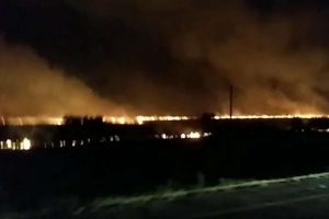 Incêndio na BR-290 atinge vegetação e desafia bombeiros por 3 horas