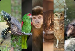 fechamento temporário no RS