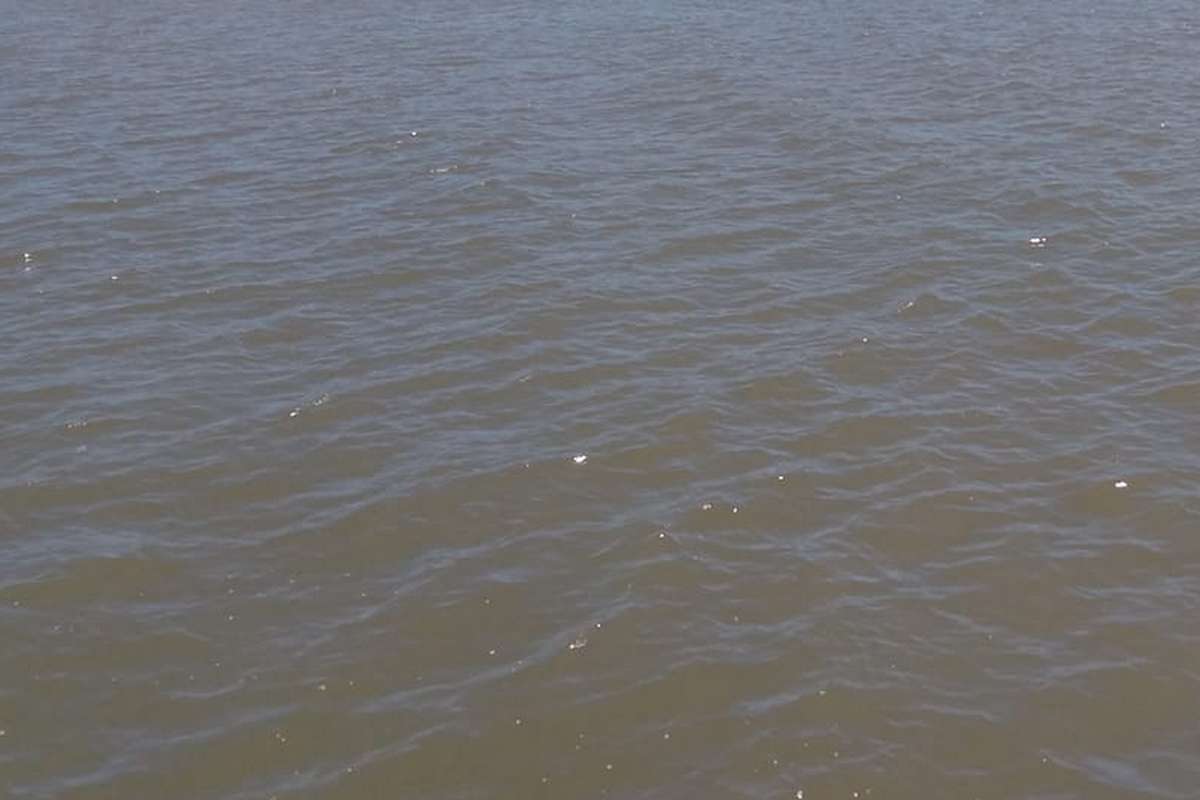 Jovem, Proprietária, Pagamento, Proibição, Licenças de pescadores suspensas