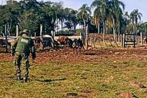 Brigada Militar
