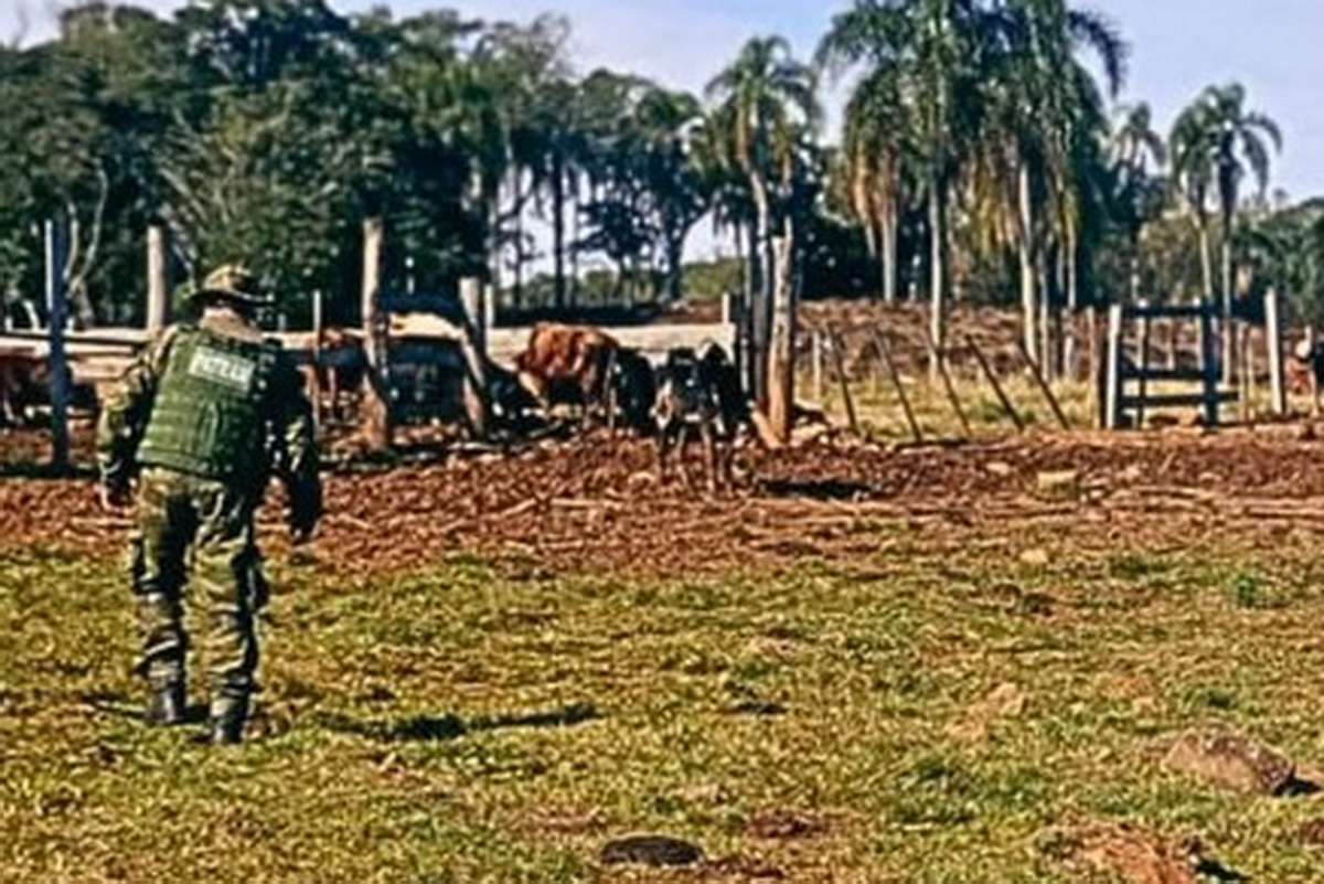 Brigada Militar
