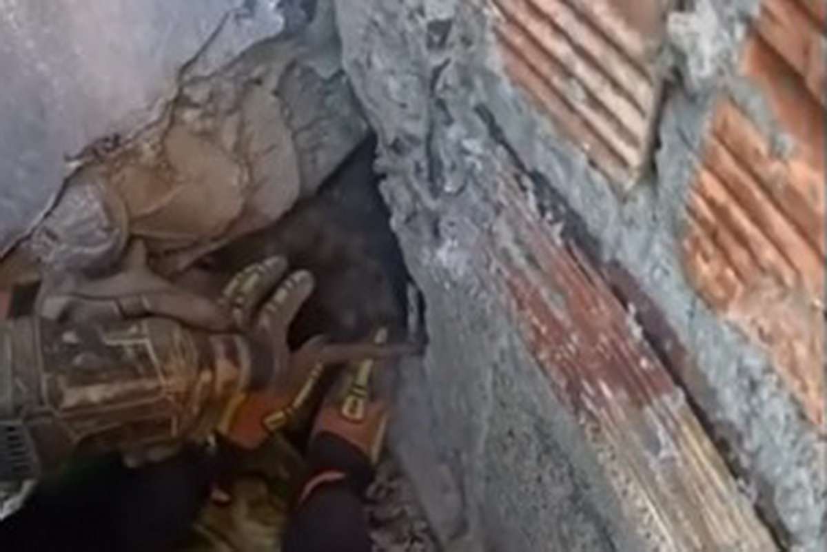 Cachorro resgatado por bombeiros em Capão da Canoa após incidente inusitado