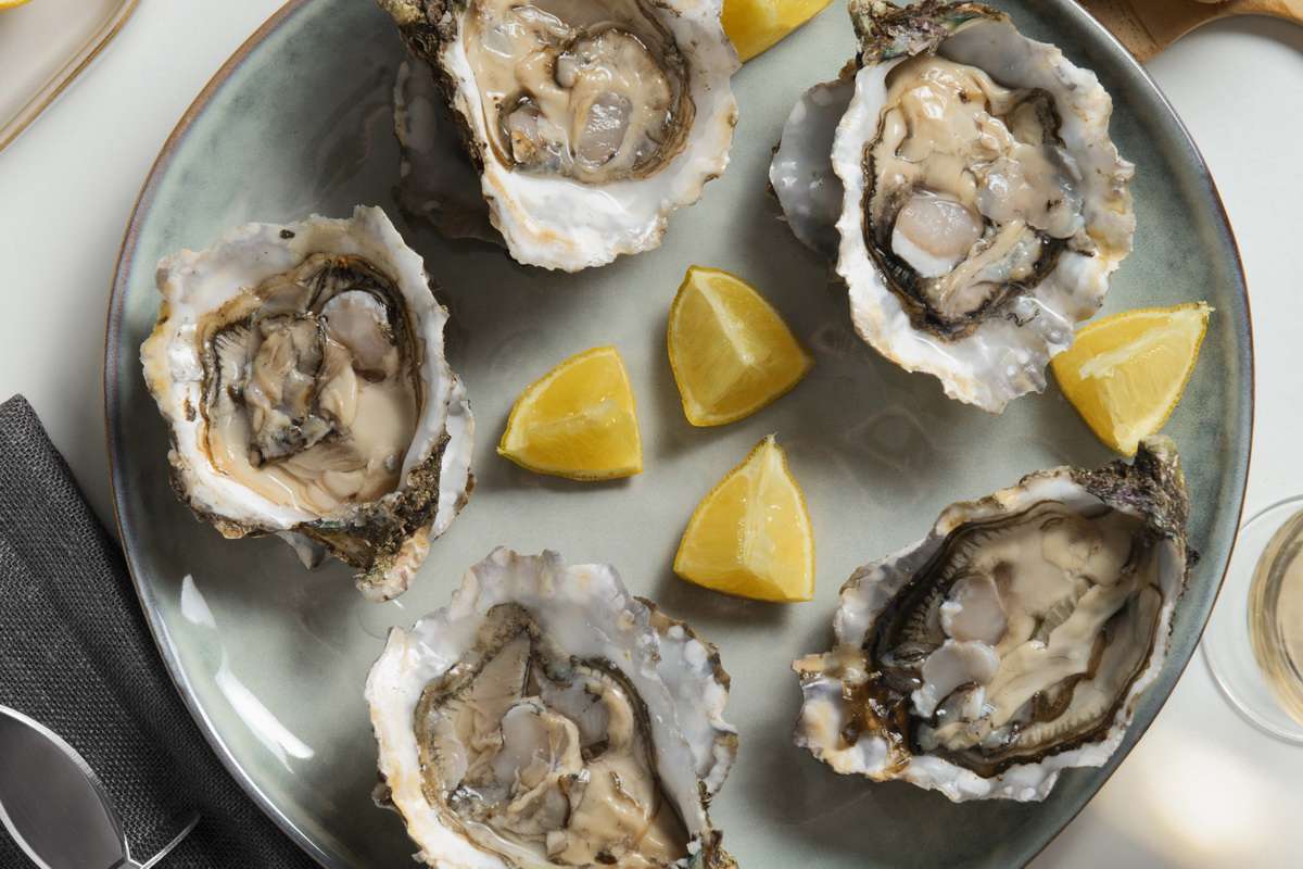 Estudo revela ostras com arsênio
