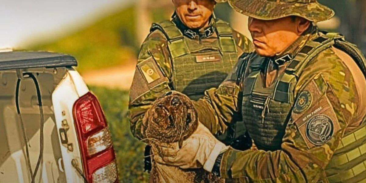 Brigada Militar