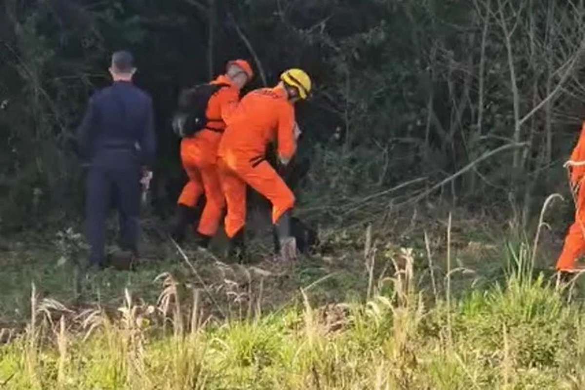 Desaparecimento no RS: Bombeiros intensificam buscas em área de mata