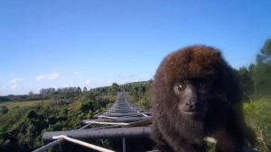 Ministério Público, ERS-040