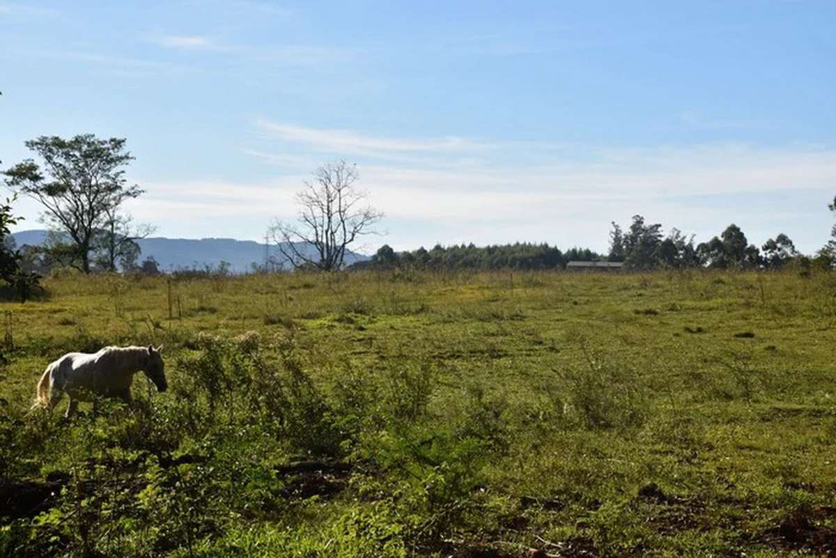 Fábrica de tratores no RS: empresa indiana anuncia investimento de R$ 100 milhões