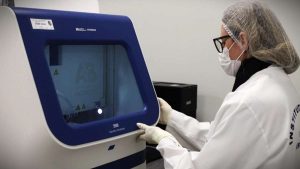 Identificação por DNA