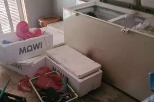 Justiça manda soltar jovem suspeito de esquartejar e carbonizar padrasto no Litoral