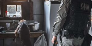 Operação prende suspeitos e retira drogas e armas ilegais de circulação em Osório