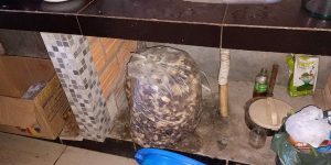 Padaria e açougue são interditados