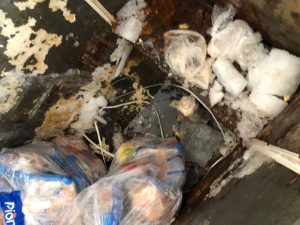 São José do Norte: quase 600 kg de alimentos irregulares são apreendidos