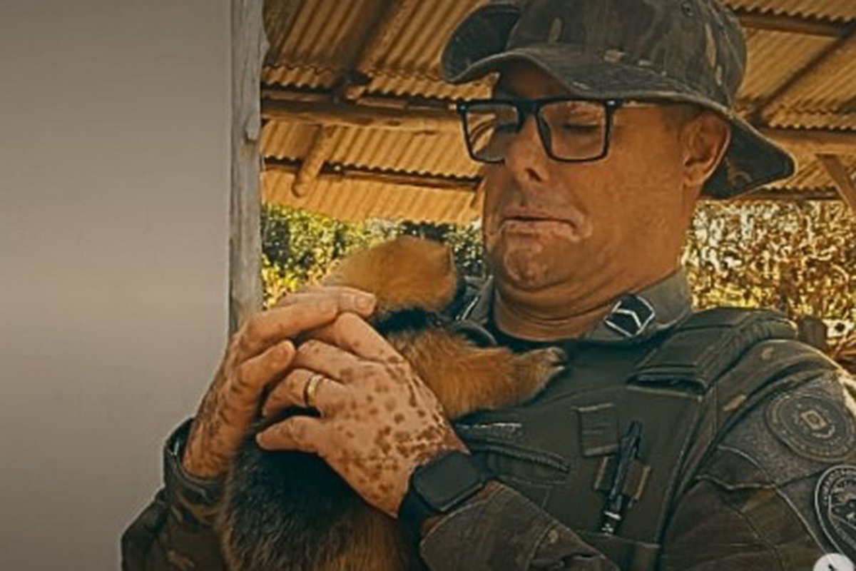 Tamanduá-mirim é resgatado após morte da mãe no litoral