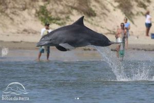 Audiência pública, Botos-de-Lahille, Dia Mundial da Limpeza em Imbé