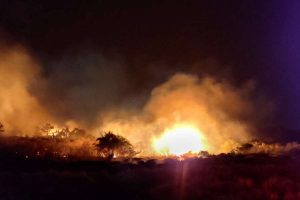 Incêndio em Osório: fogo de grandes proporções atinge mata perto do aeroclube