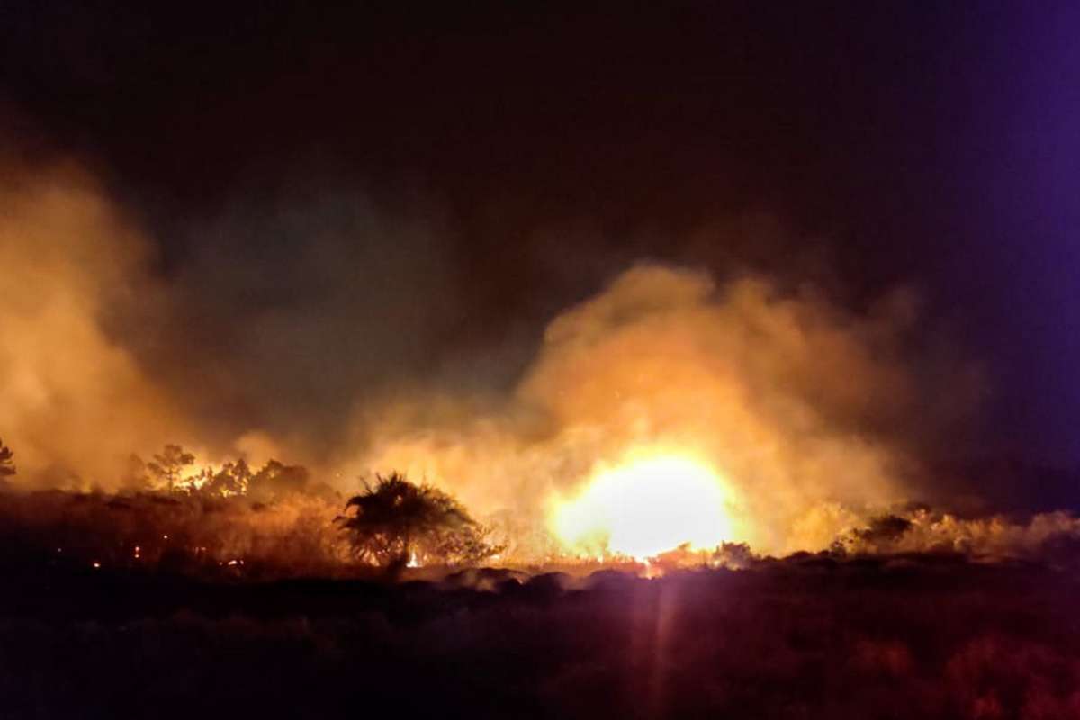 Incêndio em Osório: fogo de grandes proporções atinge mata perto do aeroclube
