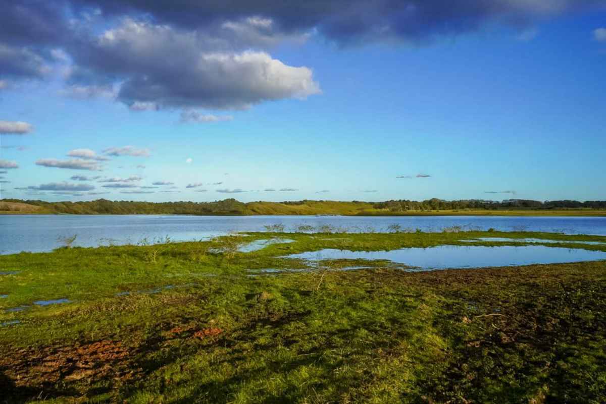 O super-herói silencioso do RS