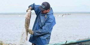 Safra Bagre 2025/2026