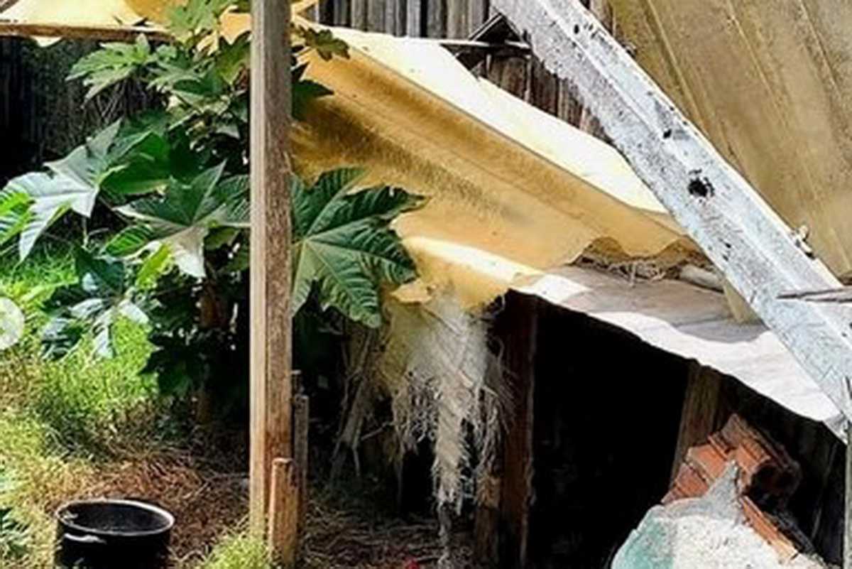 Cenas de crueldade no Litoral Sul