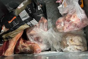 Mapa do abate clandestino