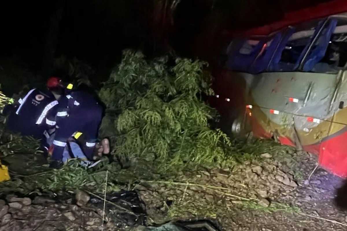 Capotamento de micro-ônibus