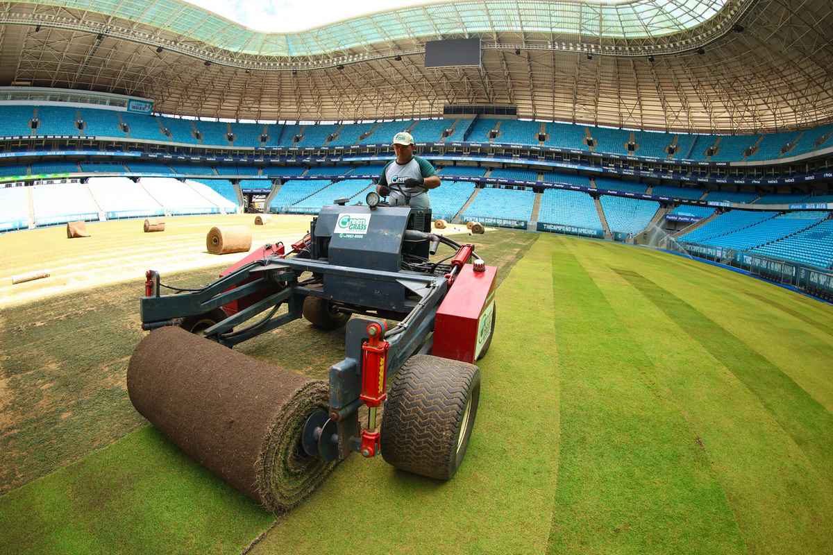 Empresa do Litoral Norte fornece grama de Copa do Mundo