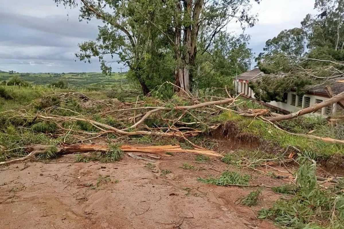 Classificação de evento em Pinheiro Machado descarta tornado