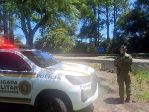 Onça-parda mobiliza forças ambientais no Rio Grande do Sul