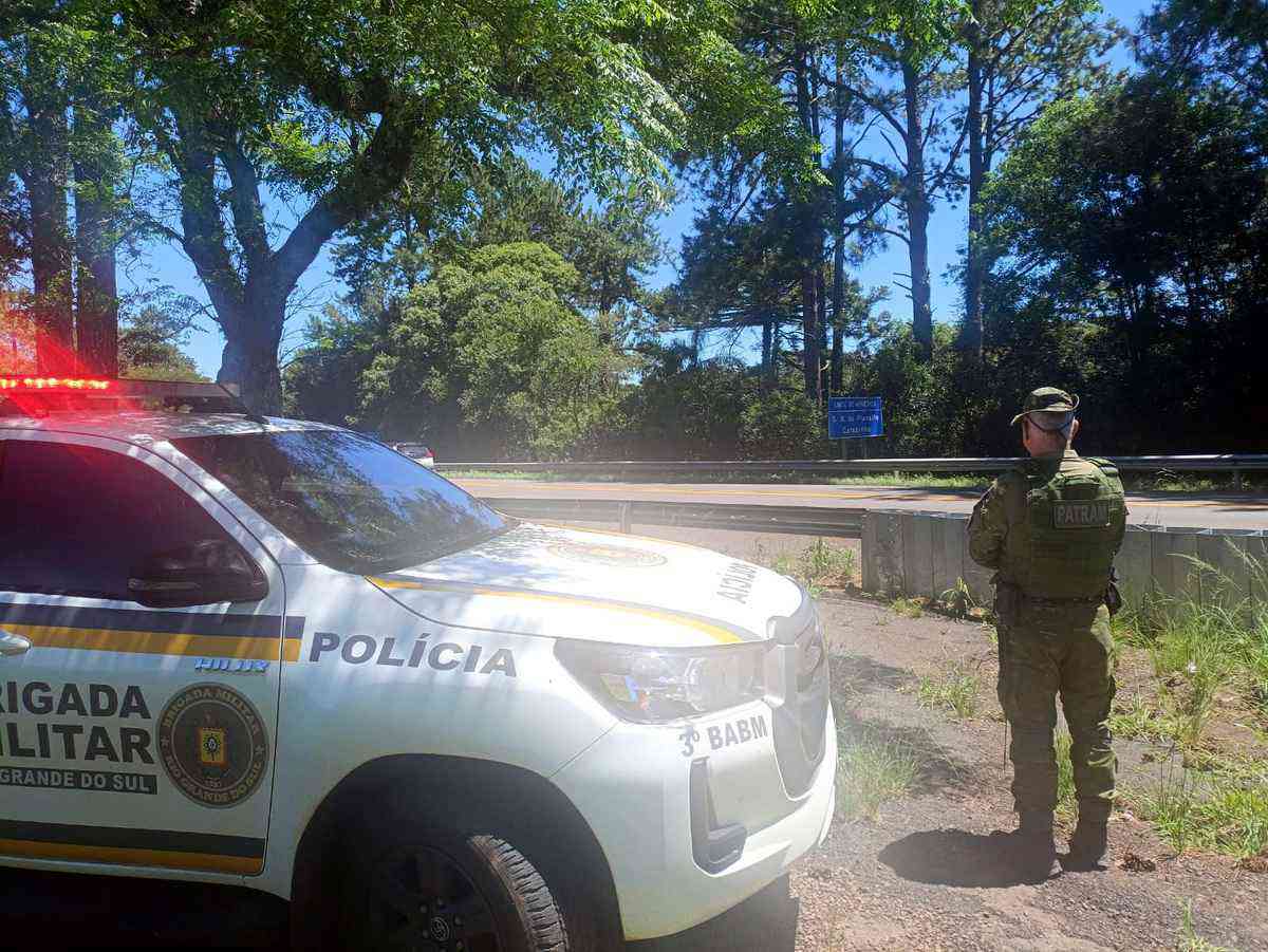 Onça-parda mobiliza forças ambientais no Rio Grande do Sul
