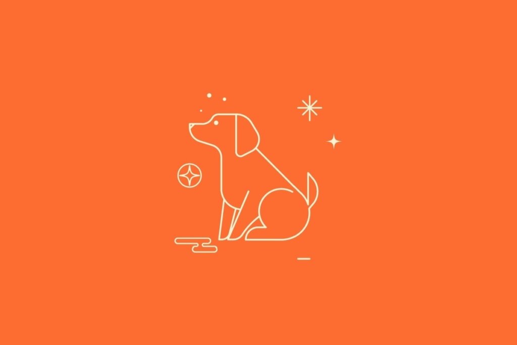 Ilustração minimalista em linhas claras de um cachorro sentado olhando para cima, sobre um fundo laranja. O estilo é limpo, acompanhado de estrelas e formas geométricas simples.