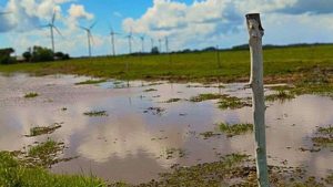 Crime ambiental no Litoral Norte: condomínio é embargado em Maquiné