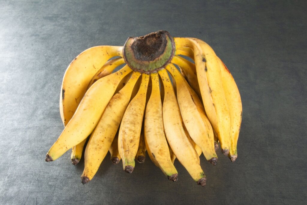 penca de banana-da-terra com casca amarela sobre fundo cinza