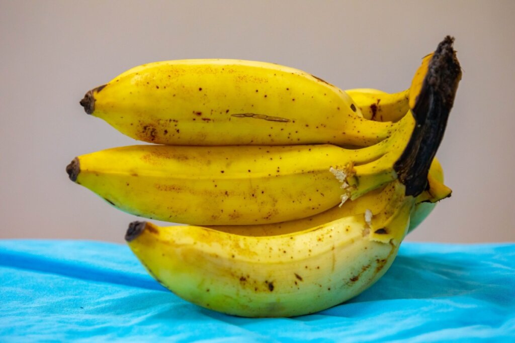 Cacho de bananas maduras apoiado sobre superfície azul, com casca amarela e pequenas manchas escuras