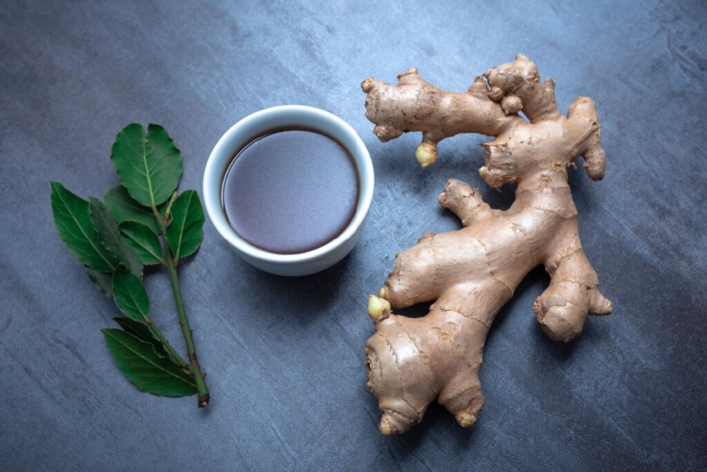 Chá de louro com gengibre servido em copo de cerâmica branco em cima de mesa de madeira com folhas de louro e pedaço de gengibre ao lado